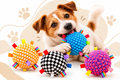 Pelota para perro con sonido